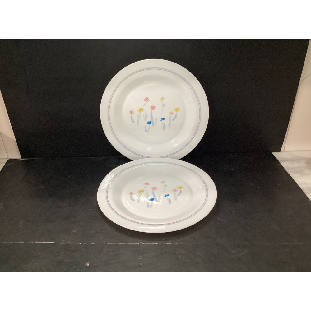 Arcopal PASTORAL Dinner Plates France Flowers Floral Dinnerware Set Of 2 Vintage